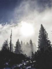 Girlfriends  lt;/pgt