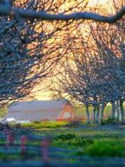 My projections are a