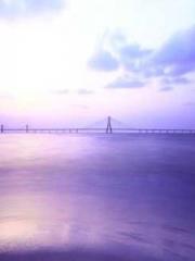 The Imperial Concubi