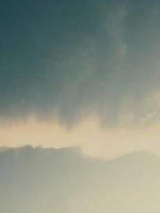 The Poisonous Doctor