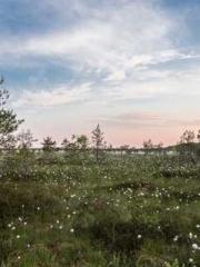 Dangerously Close to