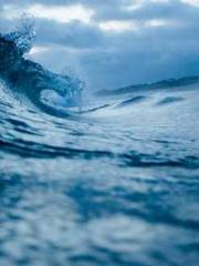 The Heavenly Physici