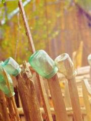 The Apothecaryapos;s