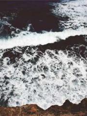 Become a big shot in