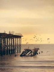 Super Dimensional Me