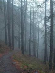 lt;lt;Legend of Yunx