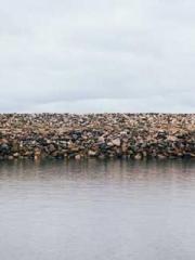 Grandpa Fuapos;s Ful