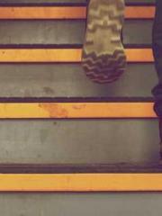 The Apothecaryapos;s