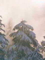 Bodhisattva of Compa