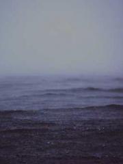 High School Campus S