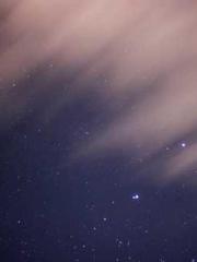 Cultivating My Empre