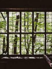 One Night Marriage P