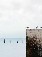 Meng Jinyu Gu Jingxi